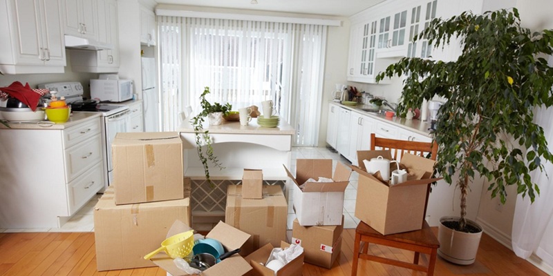 Household transport in Mumbai